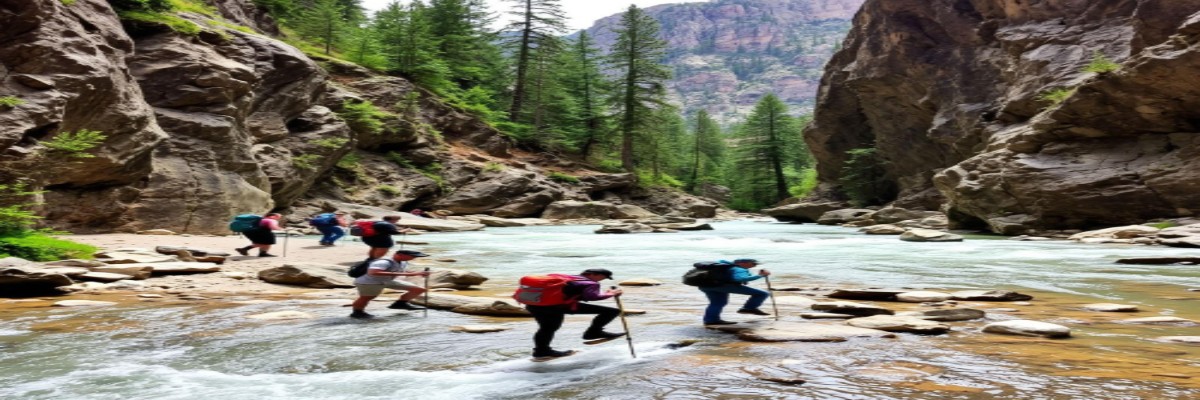 Trekking Expeditions