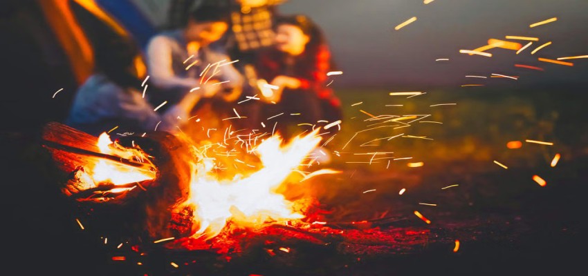 Campfire and Barbecue Nights