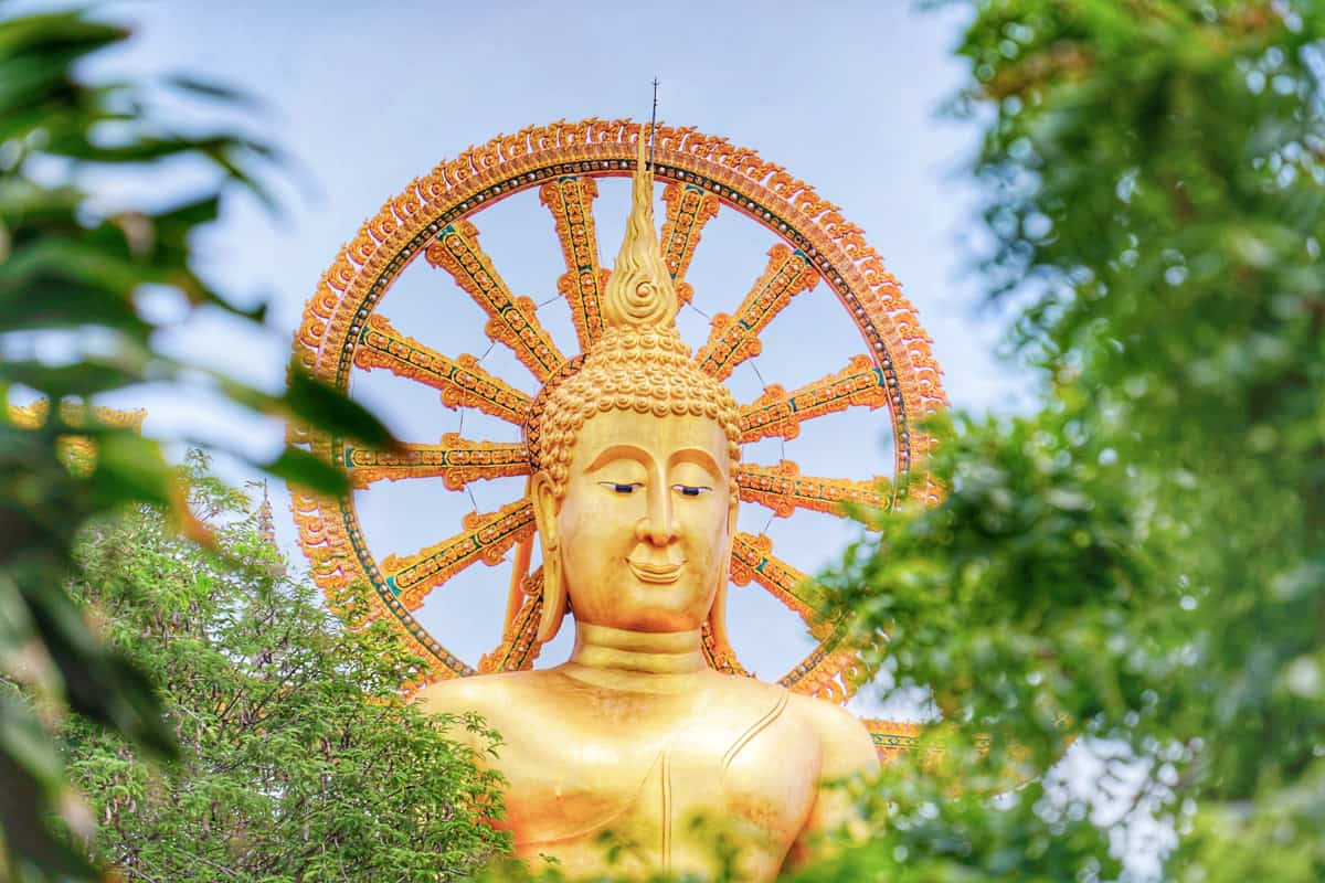 Cultural & Nature Tours