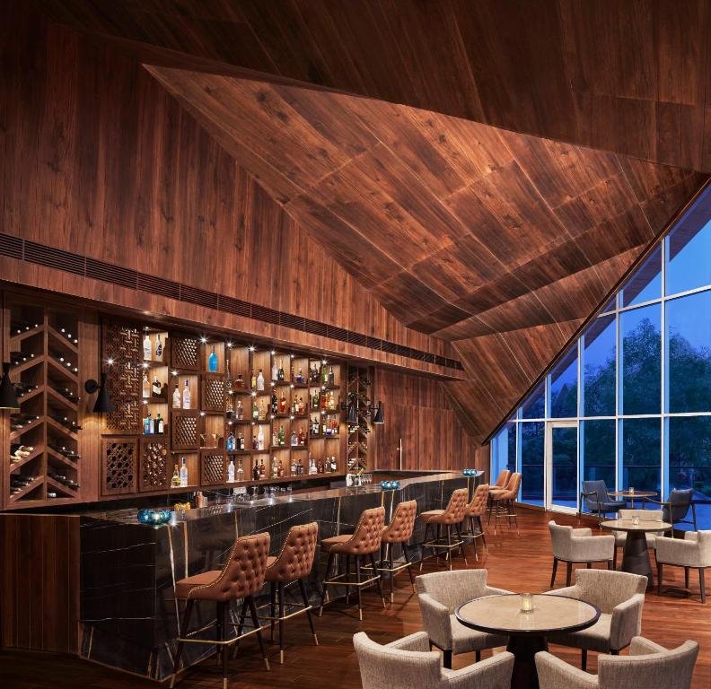 Meetings & Conferences